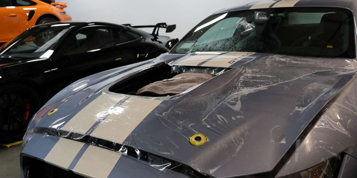 Shelby gt500 paint protection film application