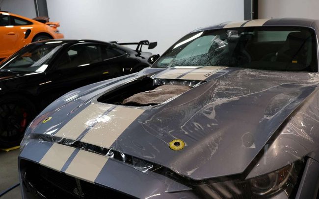 Shelby gt500 paint protection film application